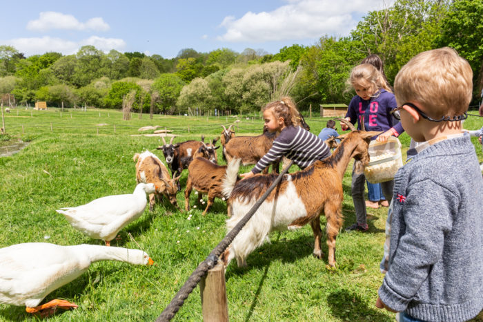nourrissage des animaux la ferme avec enclos ouverts ateliers pédagogiques parc de loisirs pont aven
