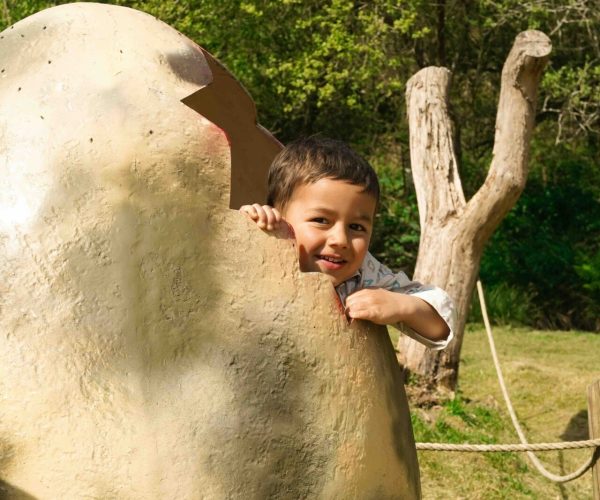 Dino parc à Pont Aven