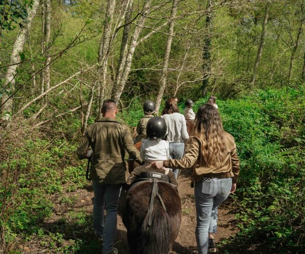 initiation au poney
