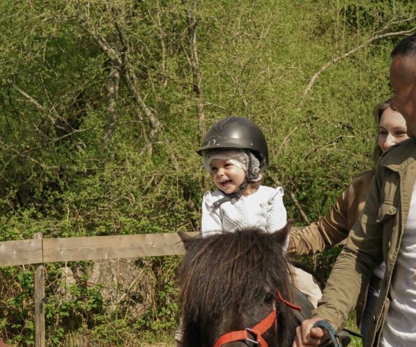 poneys pour enfants